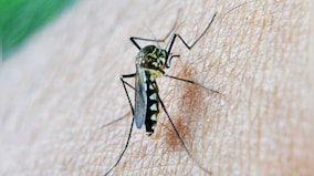 Are you a mosquito magnet? Why your soap may be to blame