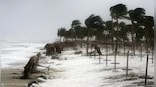 How Cyclone Mocha brewing over the Bay of Bengal got its name from coffee