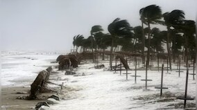 How Cyclone Mocha brewing over the Bay of Bengal got its name from coffee
