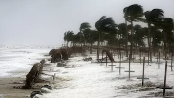 How Cyclone Mocha brewing over the Bay of Bengal got its name from coffee
