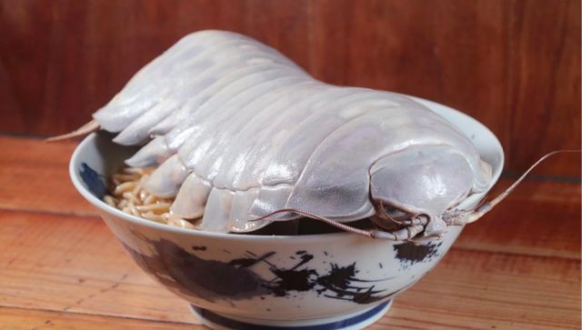 Noodle shop in Taiwan’s Taipei serves Ramen made with 14-legged deep-sea isopods Noodle shop in Taiwan’s Taipei serves Ramen made with 14-legged deep-sea isopods