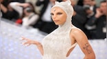 Feline Fashion: Why celebrities opted to dress like cats at the Met Gala