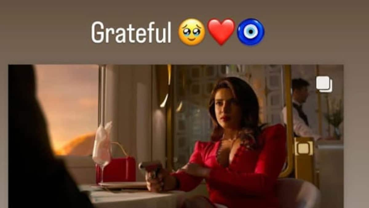 Priyanka Chopra Jonas is 'Grateful' her show Citadel soars to number 1