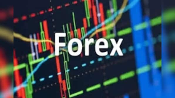 India's forex reserves drop by $6 billion to $593.48 billion