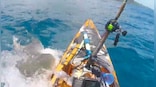 Man narrowly escapes shark attack during fishing in Hawaii; scary video goes viral