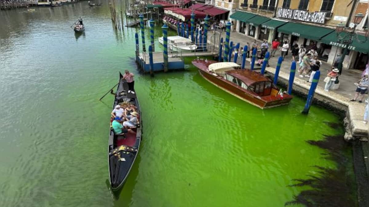 Changing Colours: Why Venice’s Grand Canal turned fluorescent green ...