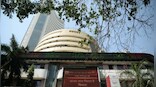 Sensex, Nifty close at record highs: Why the stock market is seeing a great run