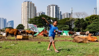 Explained: Why Indonesia is getting a five-day weekend