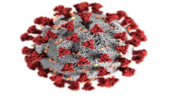 China engineered Covid-19 'bioweapon' to purposely infect people, reveals Wuhan researcher