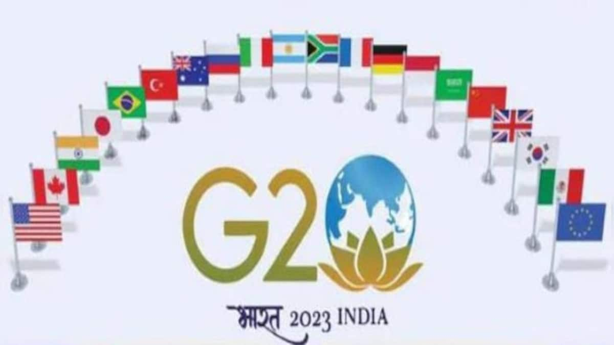 Even as India seeks a G20 seat for AU, does the African Union require it?