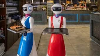 'Don't Block My Way': At US restaurant, robot waiter gets upset over customer's behaviour