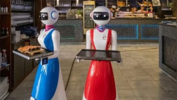 'Don't Block My Way': At US restaurant, robot waiter gets upset over customer's behaviour