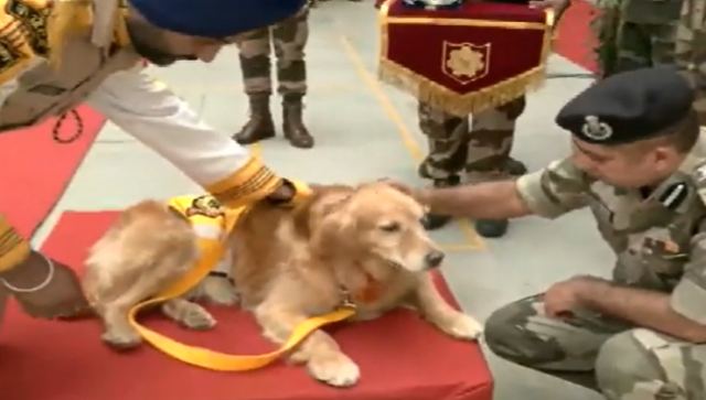 CISF bid adieu to three sniffer dogs in 'heartwarming' retirement ceremony CISF bid adieu to three sniffer dogs in 'heartwarming' retirement ceremony