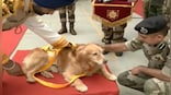 CISF bid adieu to three sniffer dogs in 'heartwarming' retirement ceremony