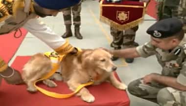 CISF bid adieu to three sniffer dogs in 'heartwarming' retirement ceremony