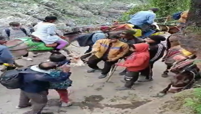 WATCH: Horse and mule operators beat Kedarnath devotees with sticks; booked WATCH: Horse and mule operators beat Kedarnath devotees with sticks; booked