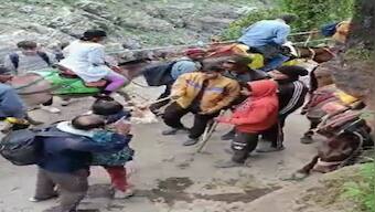 WATCH: Horse and mule operators beat Kedarnath devotees with sticks; booked