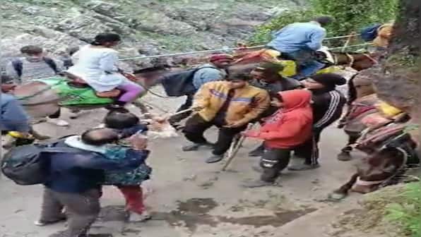 WATCH: Horse and mule operators beat Kedarnath devotees with sticks; booked