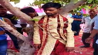 WATCH: Groom tied to tree by bride's family over dowry demand in UP's Pratapgarh