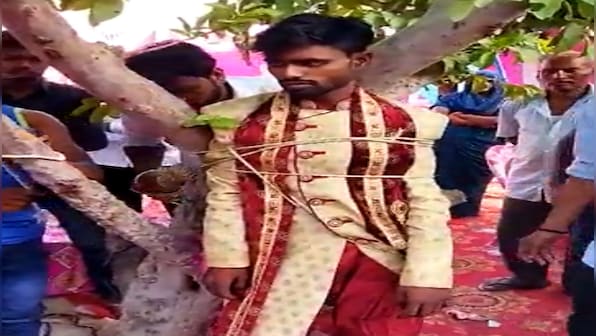 WATCH: Groom tied to tree by bride's family over dowry demand in UP's Pratapgarh