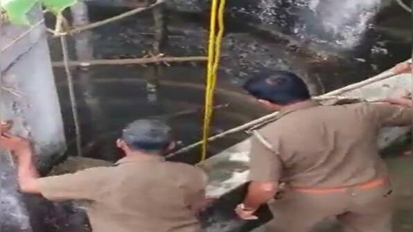 Watch: Karnataka villagers use 'jugaad' to save leopard trapped in well; succeed in efforts
