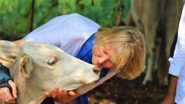 Creative or Disturbing? PETA founder wills her body parts be sent to politicians, business leaders; flesh to be eaten