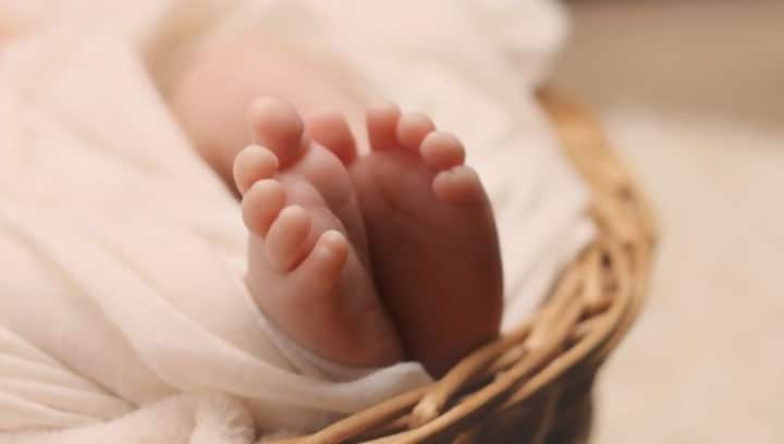 Who is Ariha Shah, the Indian baby in Germany's foster care for last 20 months?