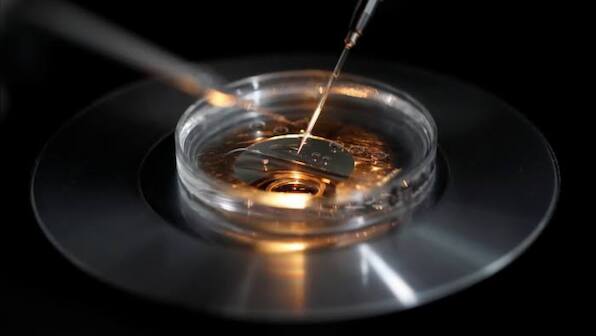 IVF Fiasco: Delhi hospital impregnated woman with unknown donor’s sperm, not husband’s; fined Rs 1.5 crore
