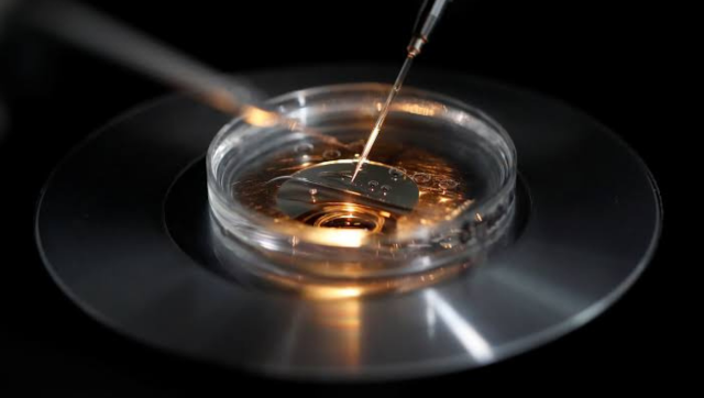 IVF Fiasco: Delhi hospital impregnated woman with unknown donor’s sperm, not husband’s; fined Rs 1.5 crore IVF Fiasco: Delhi hospital impregnated woman with unknown donor’s sperm, not husband’s; fined Rs 1.5 crore