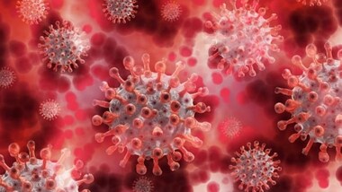 What’s HMPV, the ‘most important virus you've never heard of’?