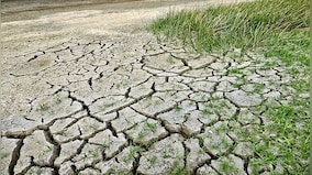 El Nino is Here: What extreme weather conditions can we expect around the world?