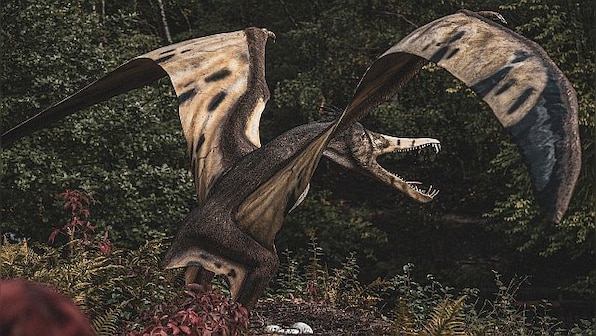 Did feathered dinosaurs become the birds that fly today?