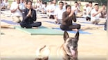 International Yoga Day 2023: ITBP dog performs asanas with personnel, wins hearts