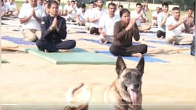 International Yoga Day 2023: ITBP dog performs asanas with personnel, wins hearts