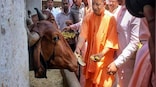 Operation Conviction: UP government's new move to crack down on cow slaughter and child abuse cases