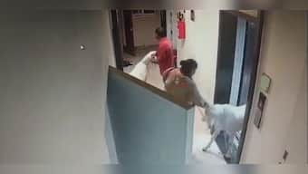 Mumbai: Protest erupts at high-rise society after Muslim resident brings goats for sacrifice on Eid
