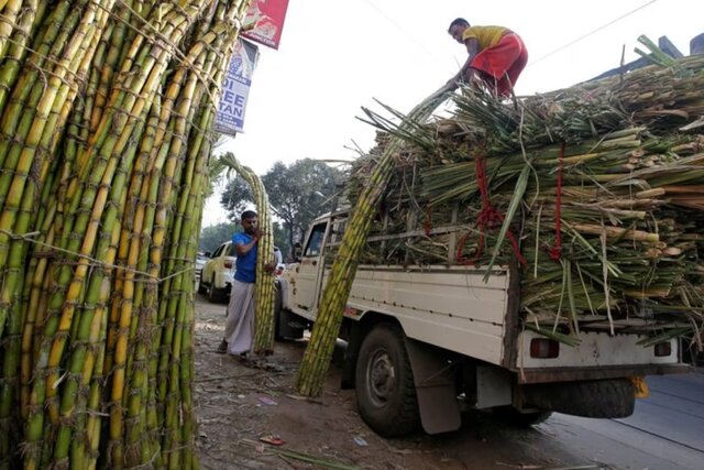 Cabinet raises fair and remunerative prices for sugarcane by Rs 10 per quintal; 5 crore farmers to benefit Cabinet raises fair and remunerative prices for sugarcane by Rs 10 per quintal; 5 crore farmers to benefit