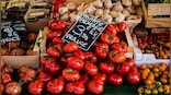 Explained: Why Britain is experiencing more inflation than the EU and the US
