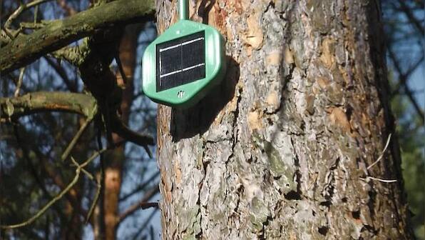 Sniffing it Out: How electronic 'noses' could help fight wildfires