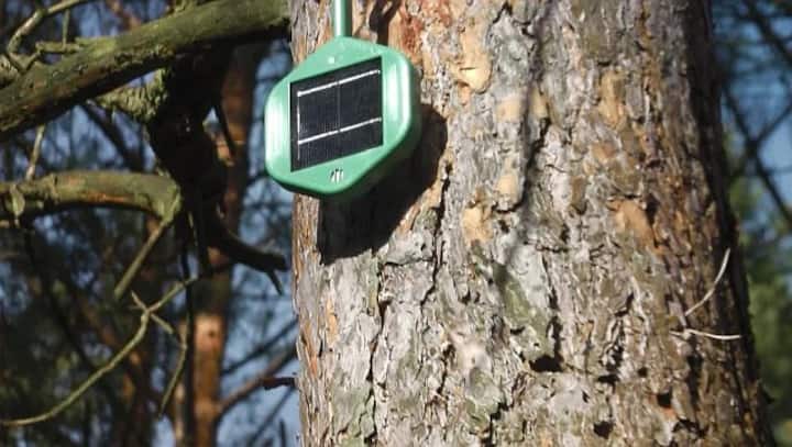 Sniffing it Out: How electronic 'noses' could help fight wildfires