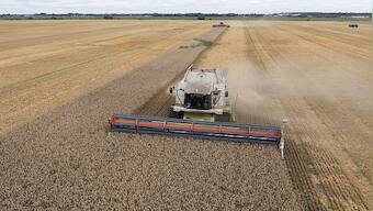 Russia pulls out of Black Sea Grain deal: What impact will it have?