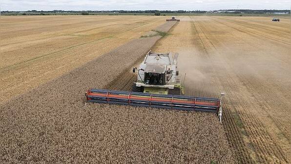 Russia pulls out of Black Sea Grain deal: What impact will it have?