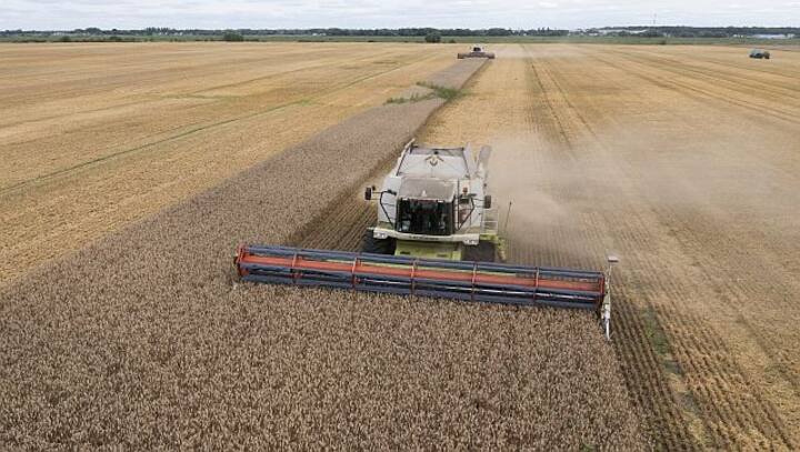 Russia pulls out of Black Sea Grain deal: What impact will it have?