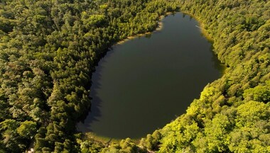 What is the Anthropocene age? Why do scientists think the Earth is in a new era?
