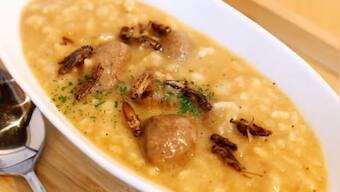 Silkworm sashimi, cricket curry on offer as bugs make stunning comeback in Japanese food