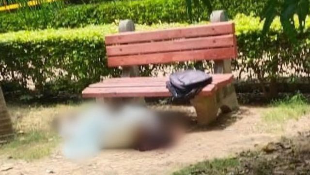 Delhi: College girl attacked with iron rod by male friend in Malviya Nagar park, dies on spot Delhi: College girl attacked with iron rod by male friend in Malviya Nagar park, dies on spot