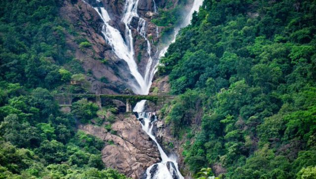 Railway Police punishes trekkers to Dudhsagar Falls, make them do sit-ups; video viral Railway Police punishes trekkers to Dudhsagar Falls, make them do sit-ups; video viral
