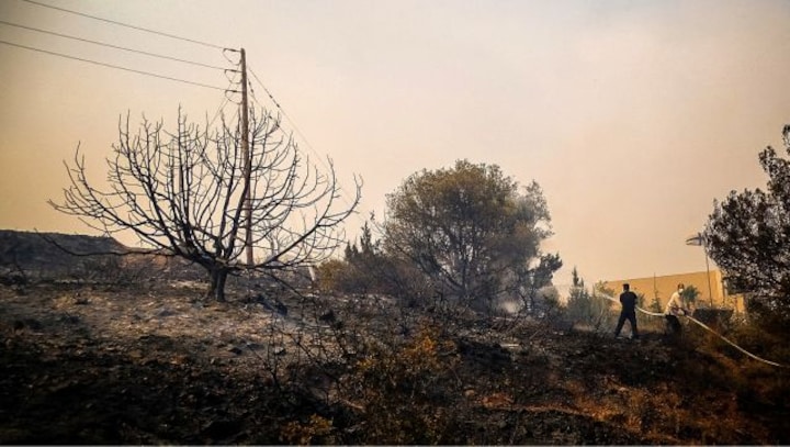 How did the Greece wildfires start? Where are they spreading?
