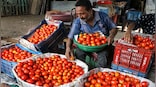 Tomato Watch: Why a UP vegetable vendor has hired bouncers