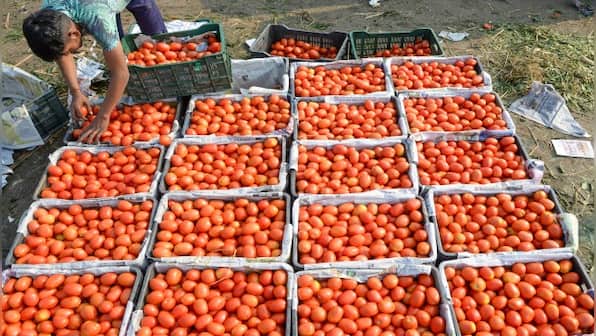 Seeing Red: Why tomato prices are likely to hit Rs 300 per kg